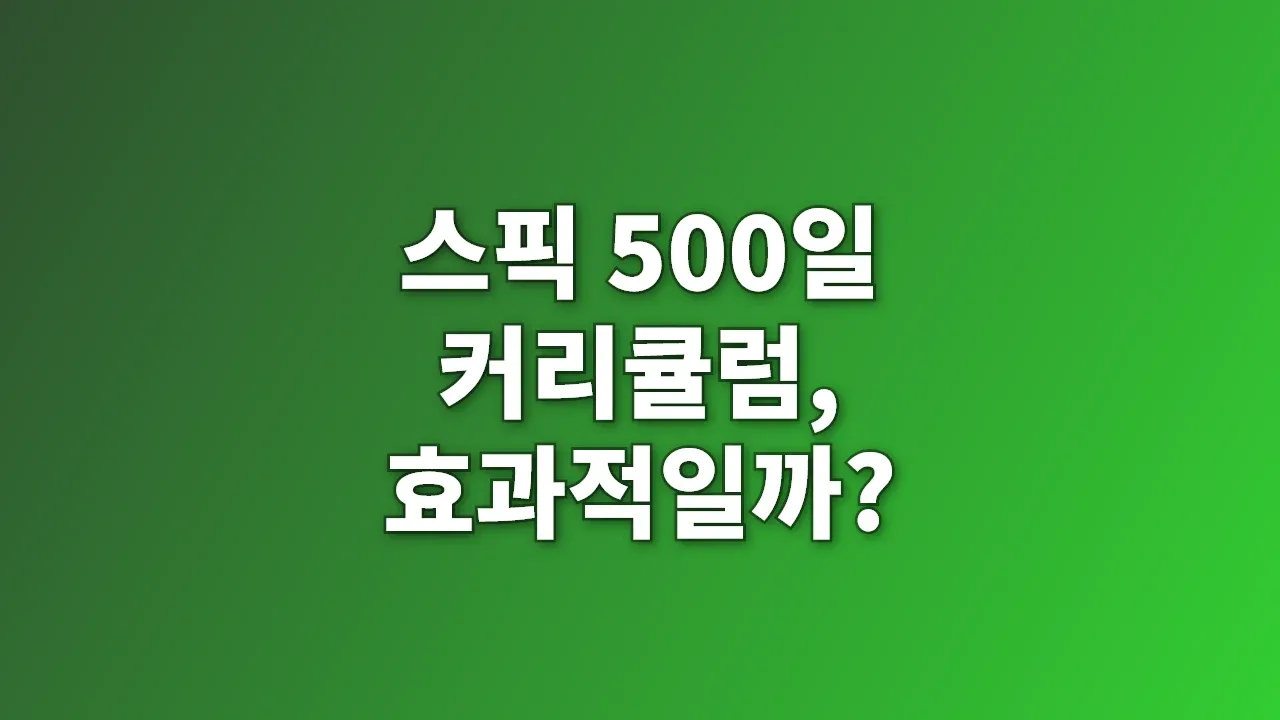 스픽 500일 커리큘럼, 효과적일까?